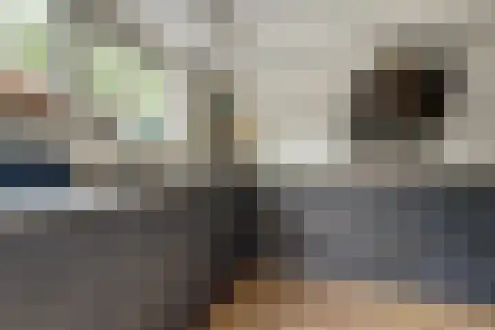 Fazant 25 Maasdam thumbnail 12