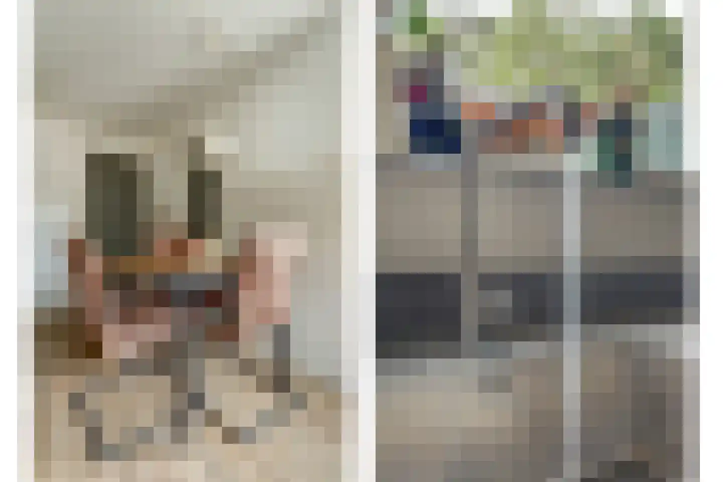 Fazant 25 Maasdam thumbnail 14
