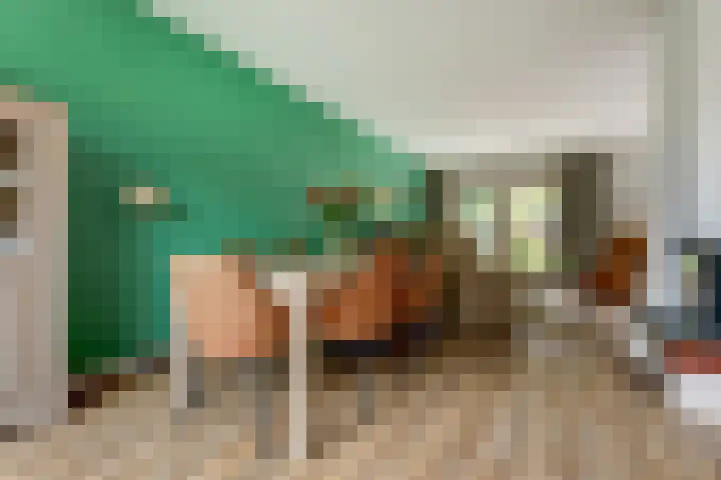 Fazant 25 Maasdam thumbnail 17