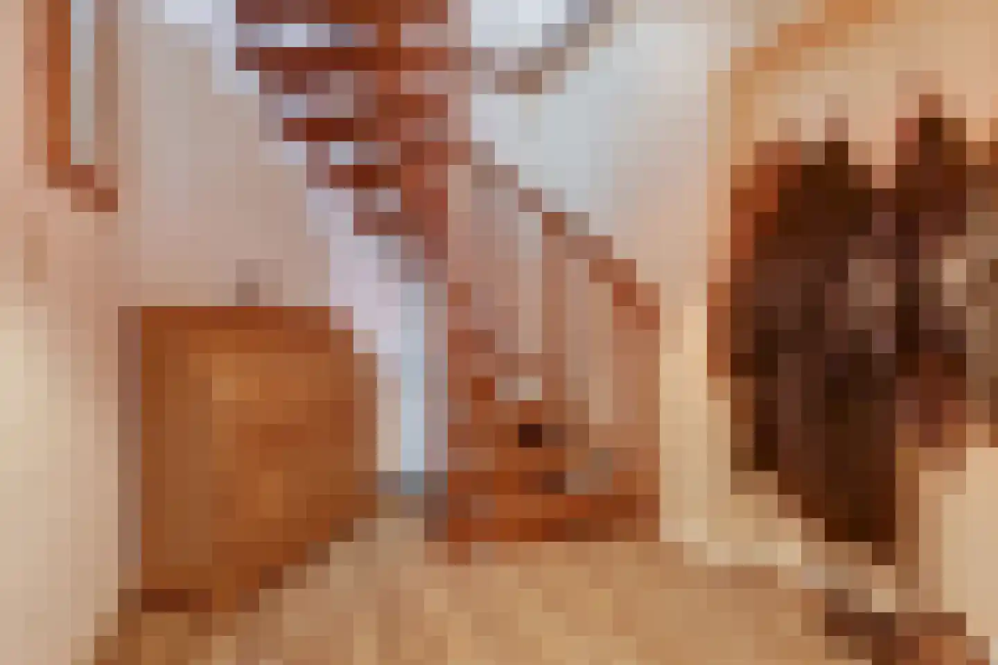 Fazant 25 Maasdam thumbnail 19