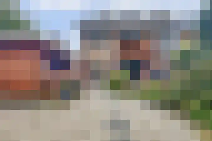 Fazant 25 Maasdam foto 2