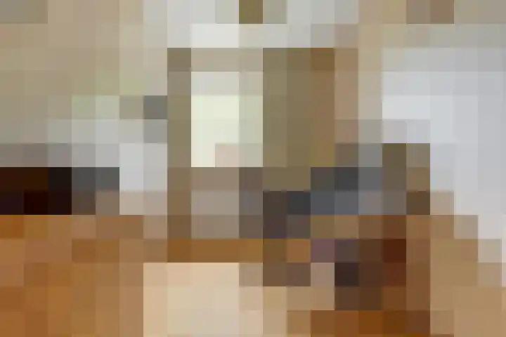 Fazant 25 Maasdam thumbnail 24