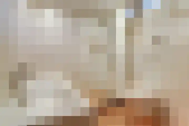 Fazant 25 Maasdam thumbnail 25