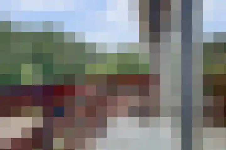 Fazant 25 Maasdam thumbnail 29