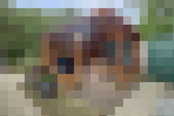 Fazant 25 Maasdam thumbnail 32
