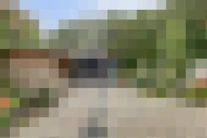 Fazant 25 Maasdam thumbnail 33
