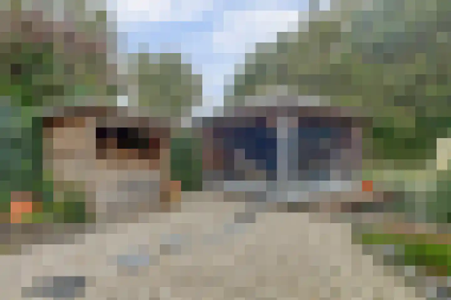 Fazant 25 Maasdam thumbnail 34