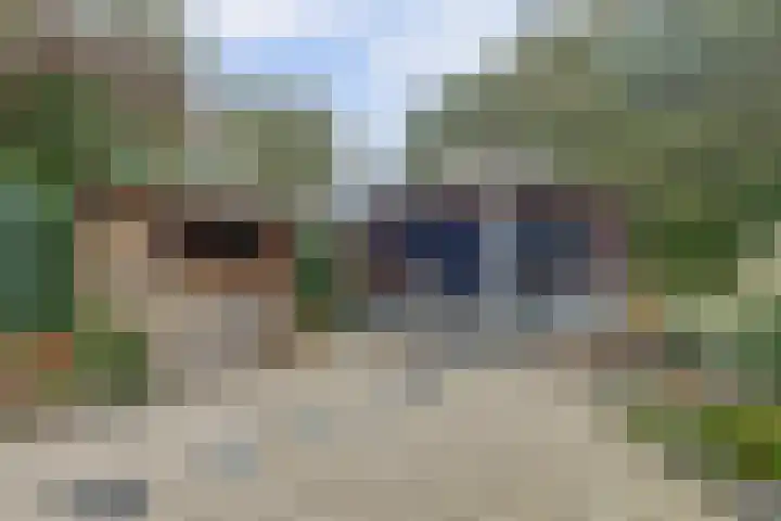 Fazant 25 Maasdam thumbnail 34