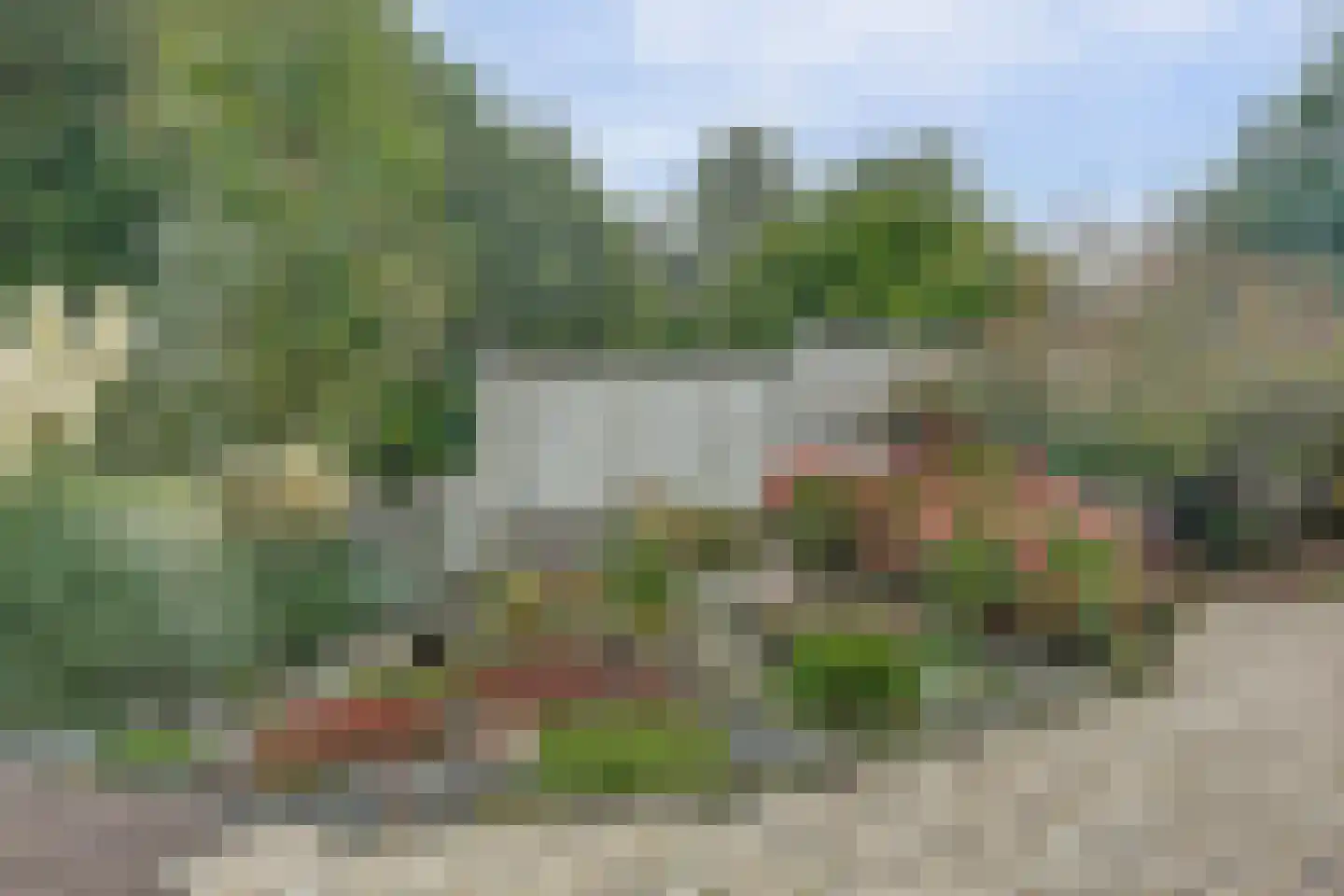 Fazant 25 Maasdam thumbnail 35