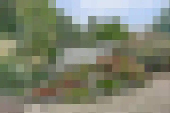 Fazant 25 Maasdam thumbnail 35
