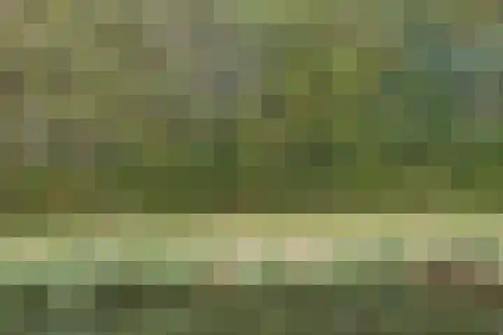 Fazant 25 Maasdam thumbnail 36