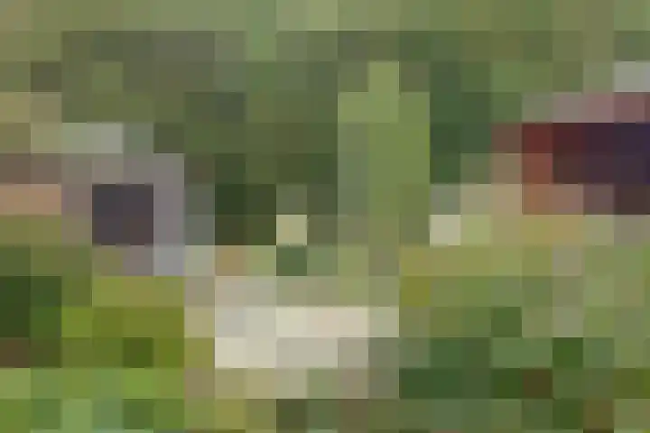 Fazant 25 Maasdam thumbnail 37
