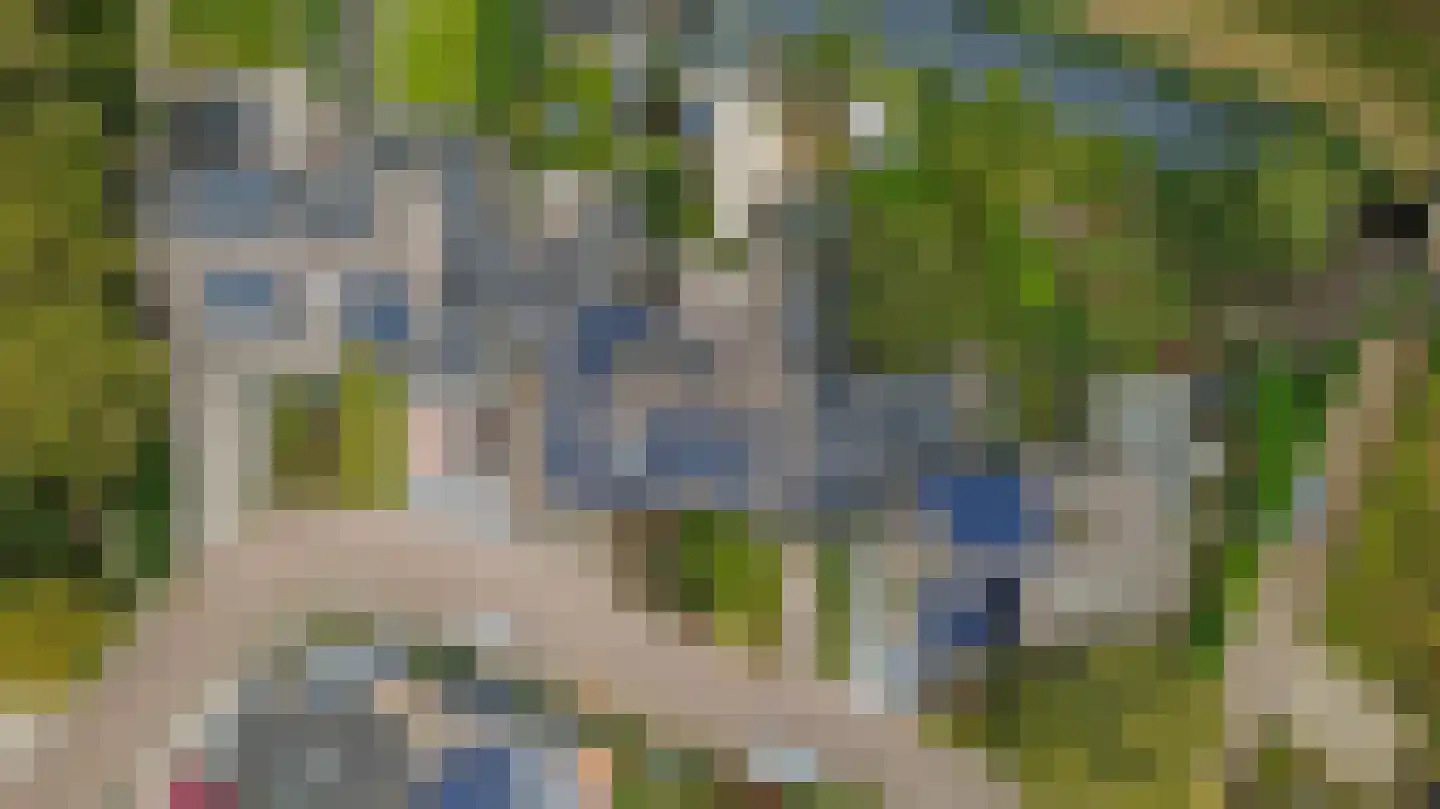 Fazant 25 Maasdam thumbnail 39