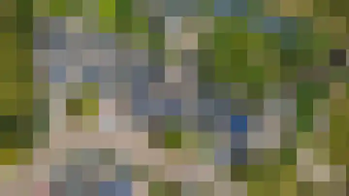 Fazant 25 Maasdam thumbnail 39