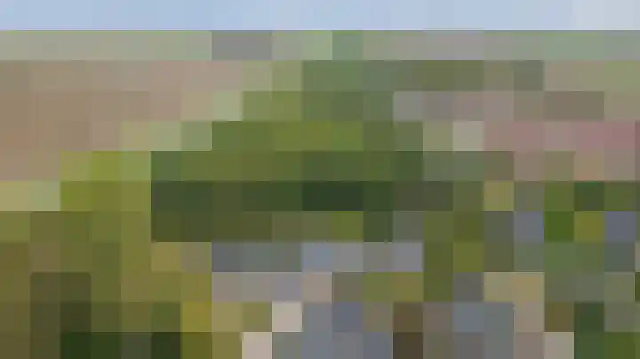 Fazant 25 Maasdam thumbnail 4