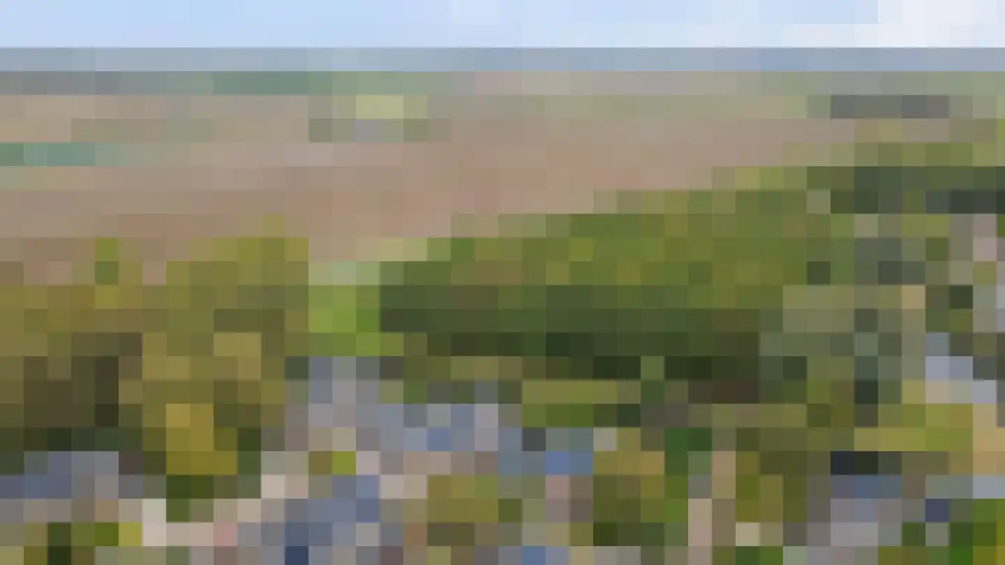 Fazant 25 Maasdam thumbnail 40