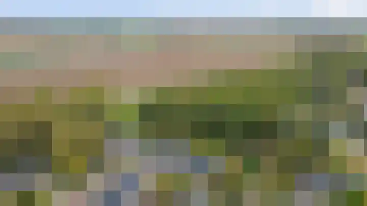 Fazant 25 Maasdam thumbnail 40