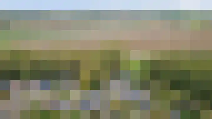 Fazant 25 Maasdam thumbnail 41