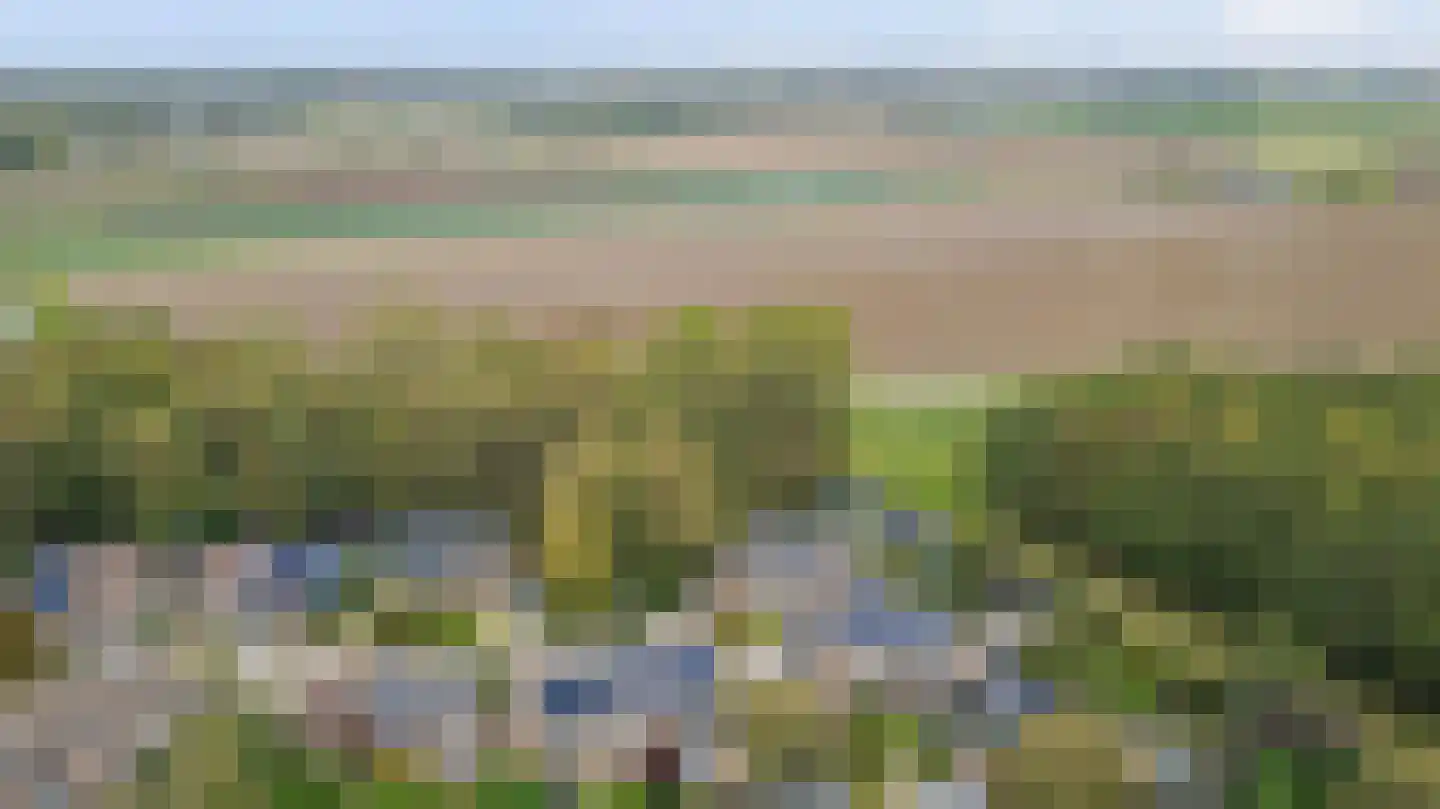 Fazant 25 Maasdam thumbnail 41