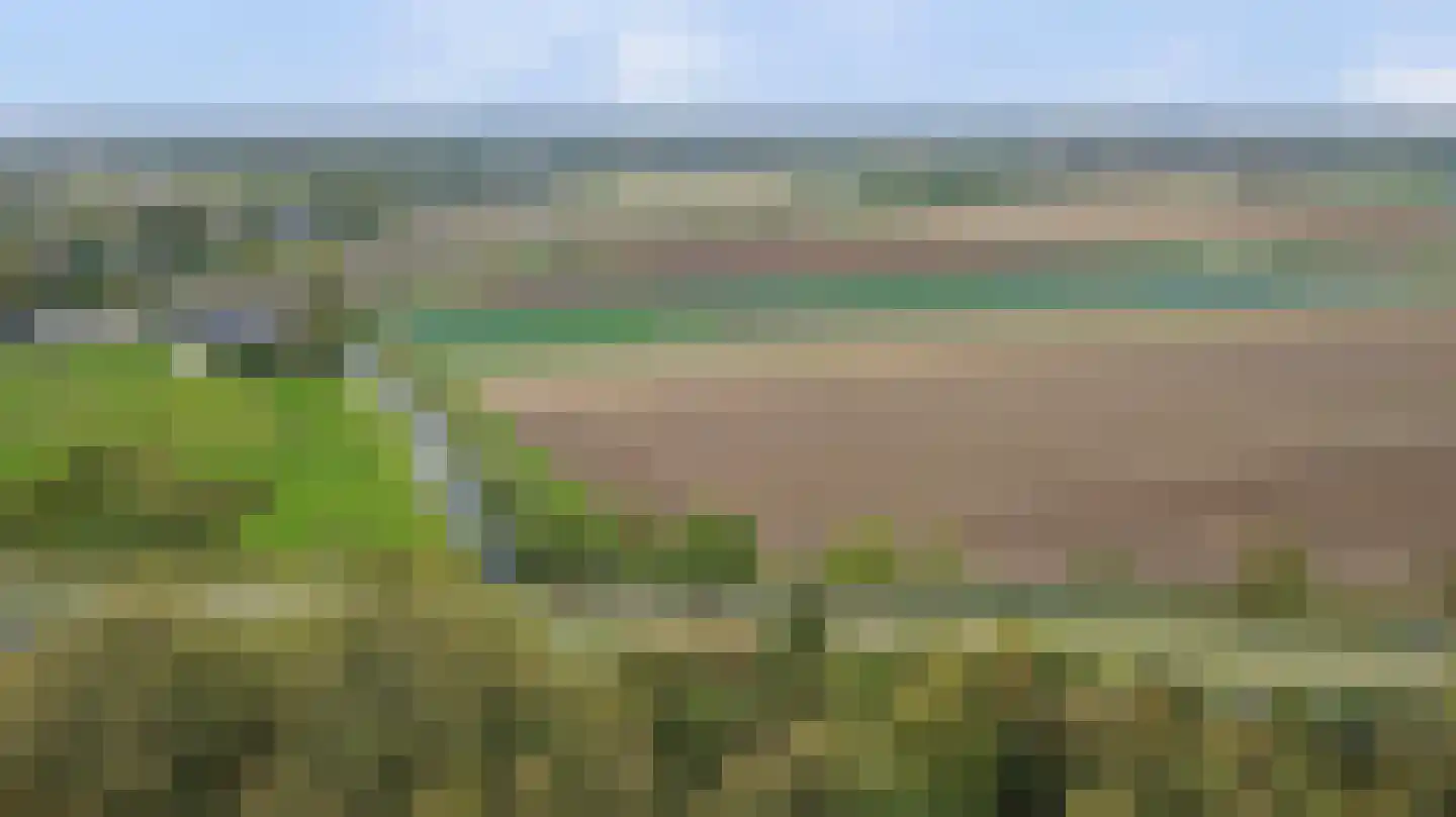 Fazant 25 Maasdam thumbnail 42