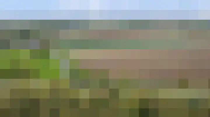 Fazant 25 Maasdam thumbnail 42