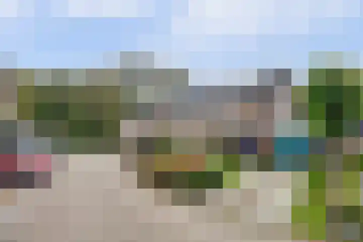 Fazant 25 Maasdam thumbnail 45