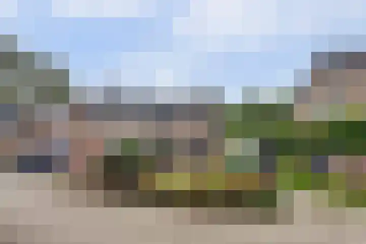 Fazant 25 Maasdam thumbnail 46