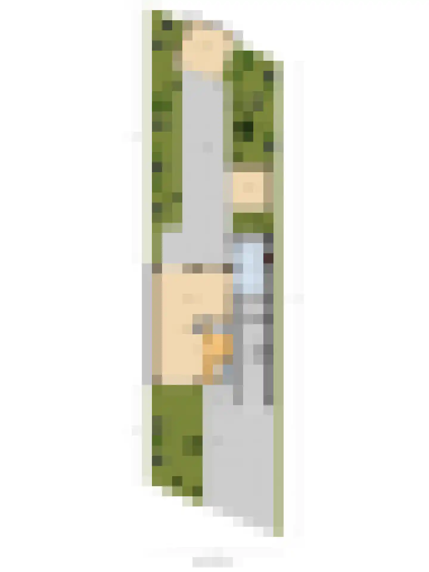 Fazant 25 Maasdam thumbnail 50