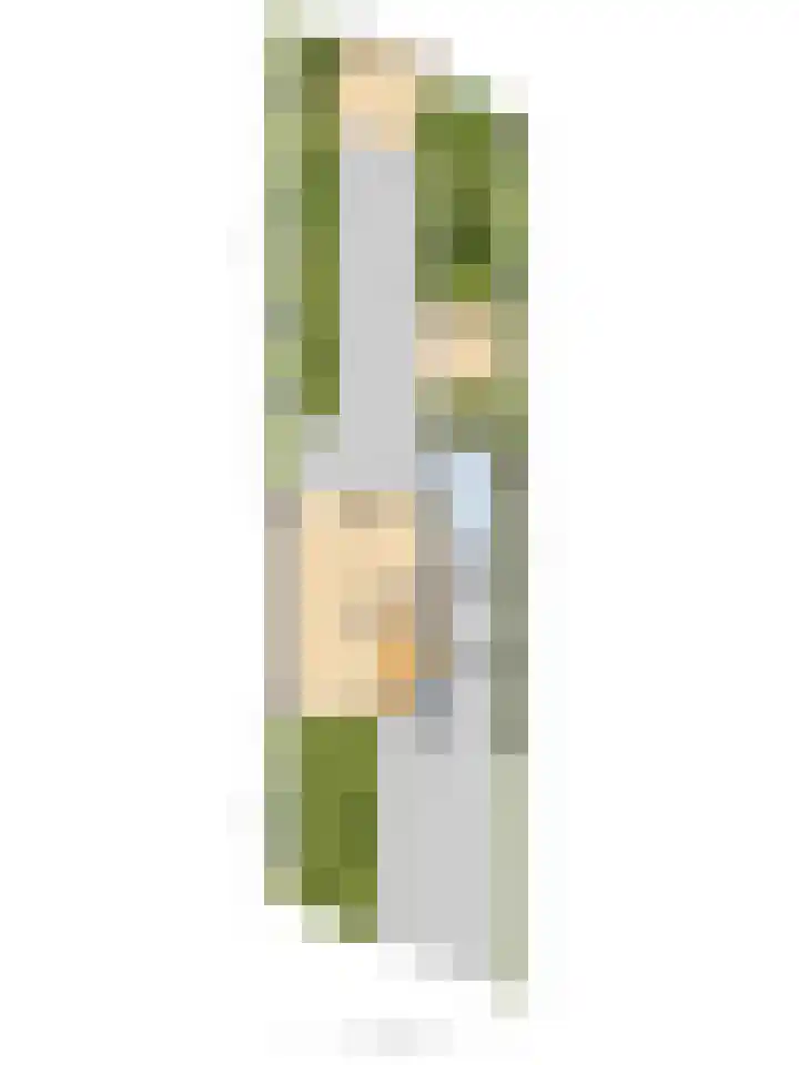 Fazant 25 Maasdam thumbnail 50
