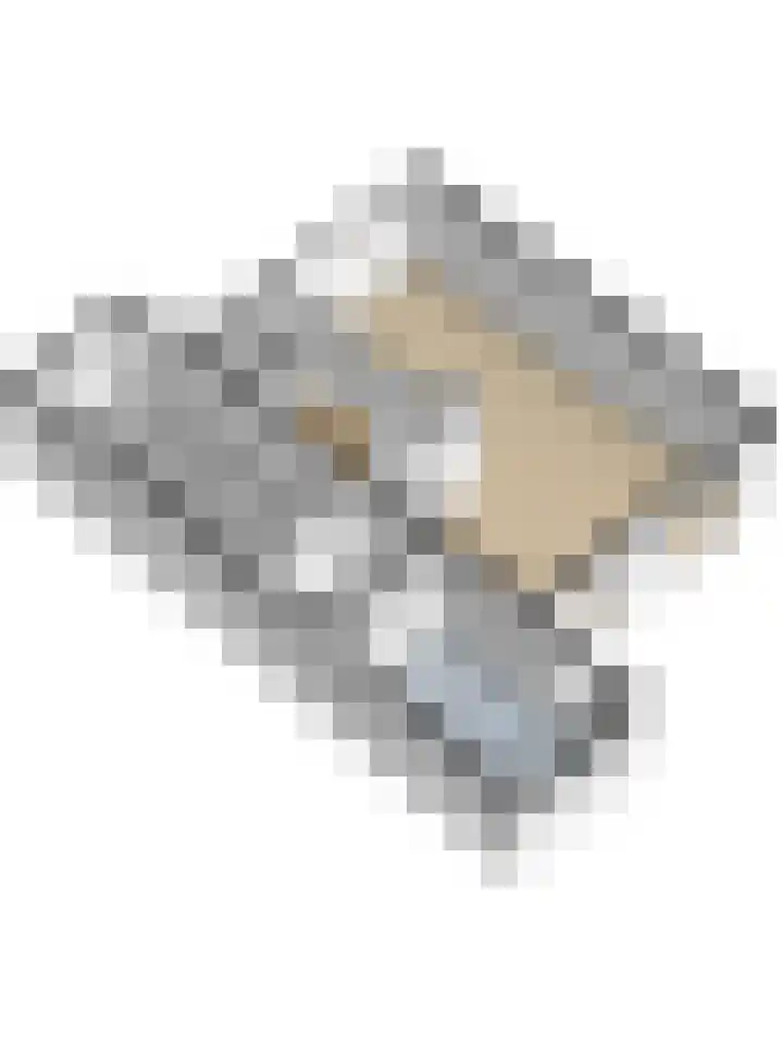 Fazant 25 Maasdam thumbnail 51