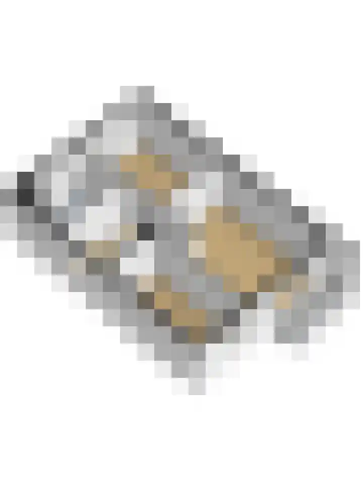 Fazant 25 Maasdam thumbnail 52