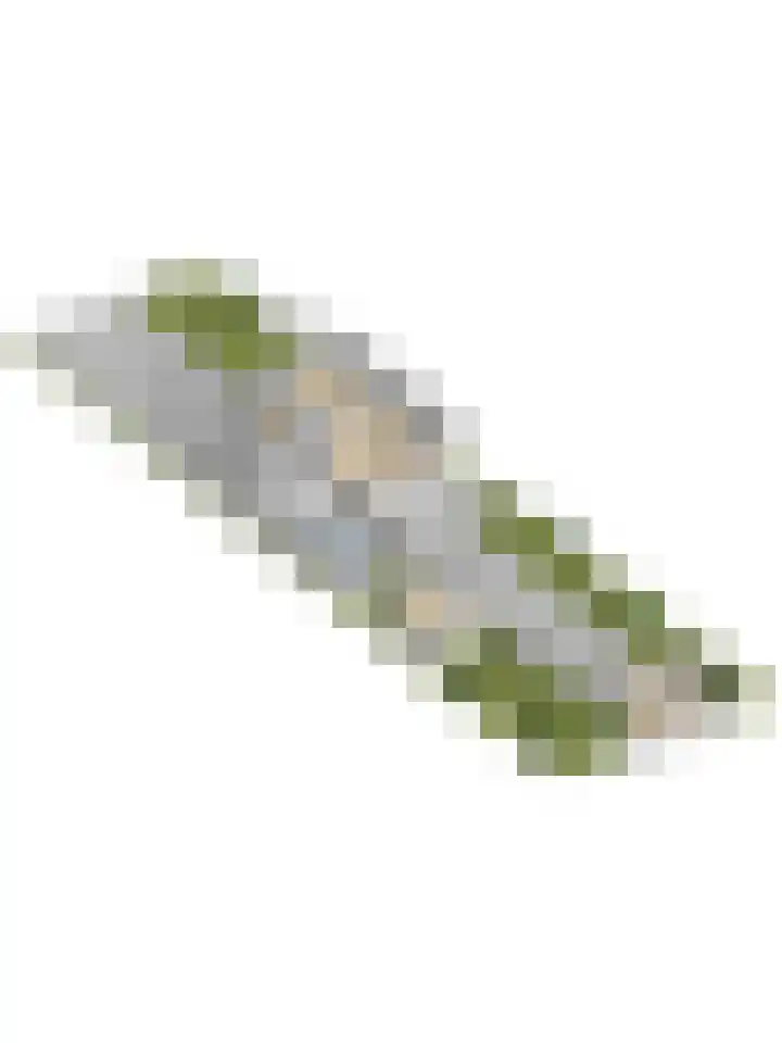 Fazant 25 Maasdam thumbnail 54