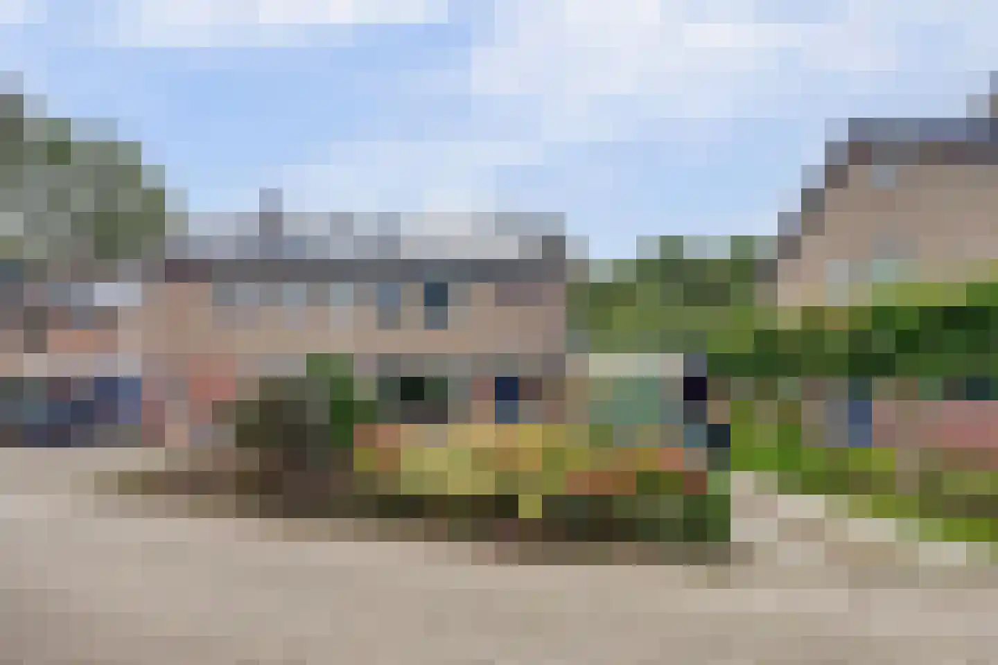 Fazant 25 Maasdam thumbnail 7