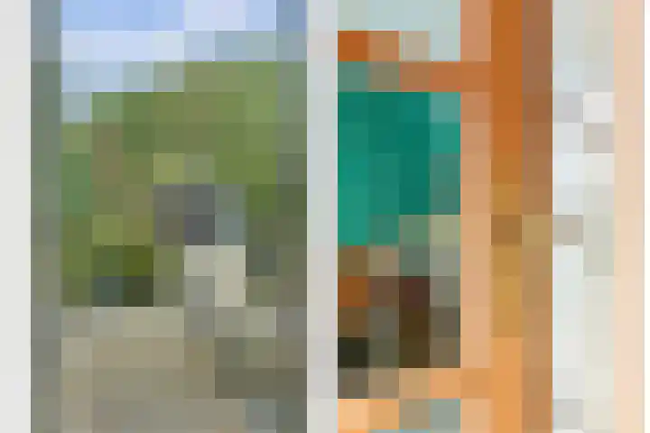Fazant 25 Maasdam thumbnail 8