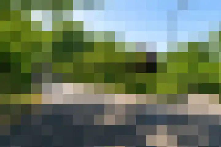 Fazant 35 Sprang-Capelle thumbnail 10