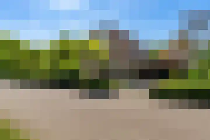 Fazant 35 Sprang-Capelle thumbnail 11