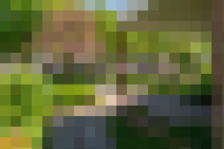 Fazant 35 Sprang-Capelle thumbnail 13