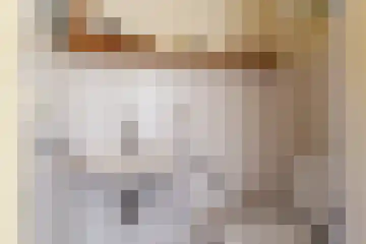 Fazant 35 Sprang-Capelle thumbnail 15