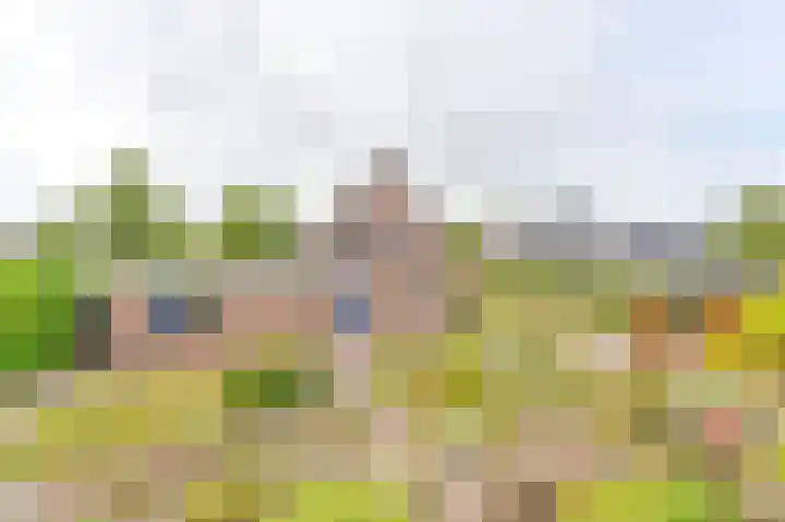 Fazant 35 Sprang-Capelle thumbnail 21