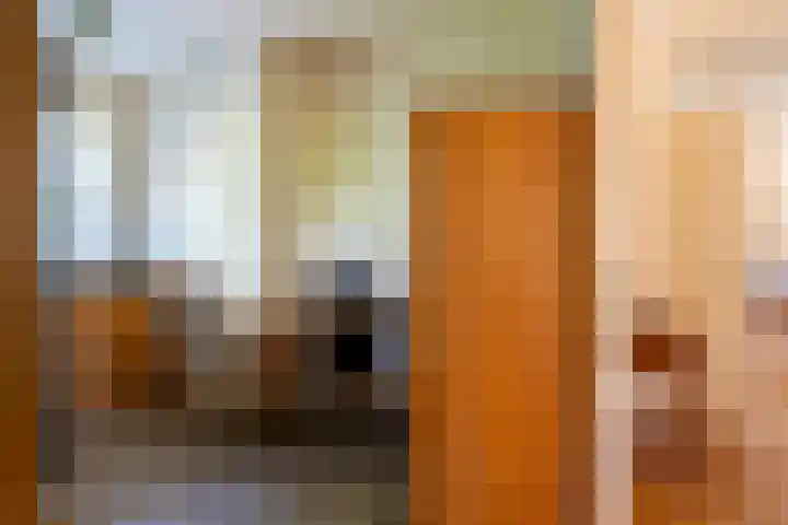 Fazant 35 Sprang-Capelle thumbnail 23