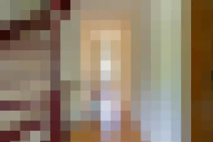 Fazant 35 Sprang-Capelle thumbnail 27