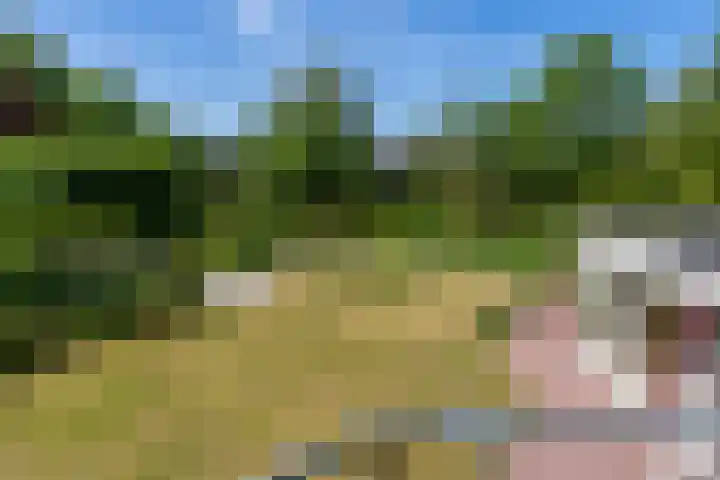 Fazant 35 Sprang-Capelle thumbnail 32