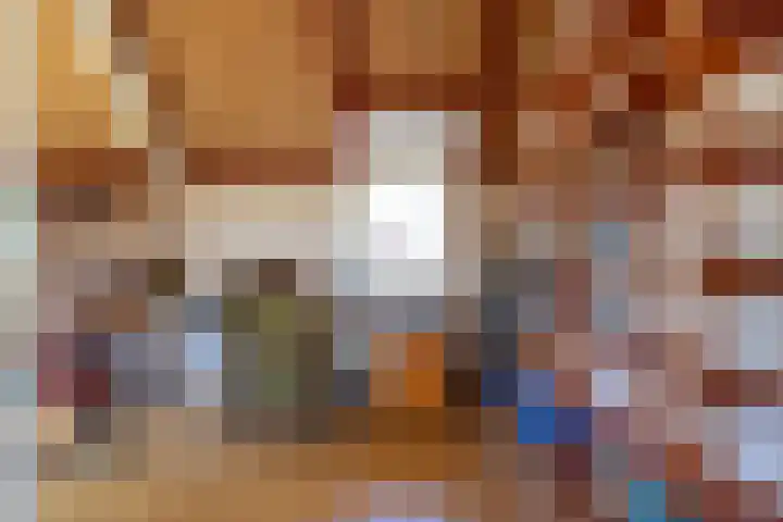 Fazant 35 Sprang-Capelle thumbnail 33