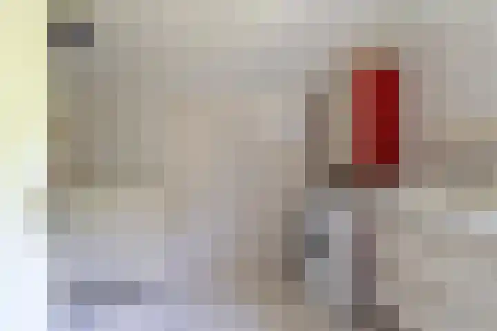 Fazant 35 Sprang-Capelle thumbnail 38
