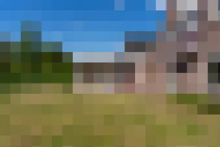 Fazant 35 Sprang-Capelle thumbnail 4