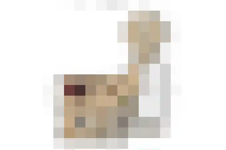 Fazant 35 Sprang-Capelle thumbnail 45