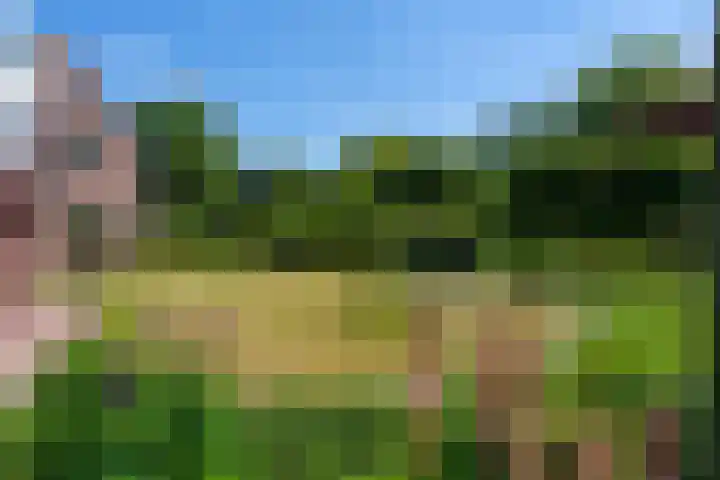 Fazant 35 Sprang-Capelle thumbnail 5