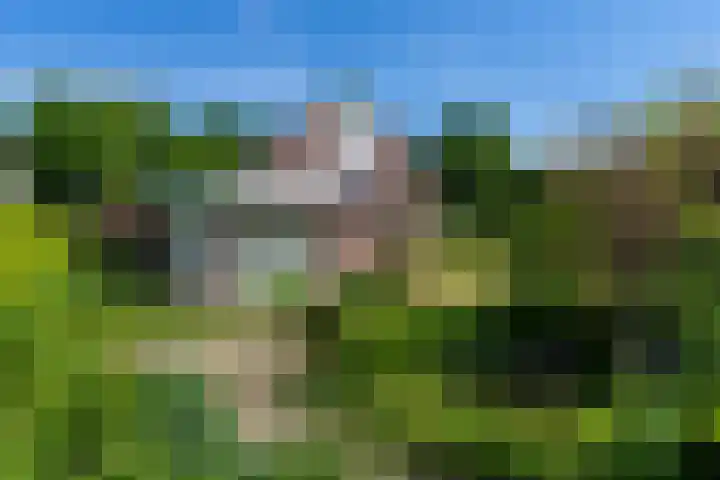 Fazant 35 Sprang-Capelle thumbnail 6