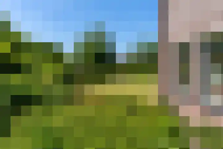 Fazant 35 Sprang-Capelle thumbnail 7