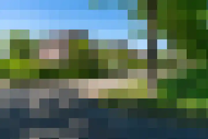 Fazant 35 Sprang-Capelle thumbnail 9